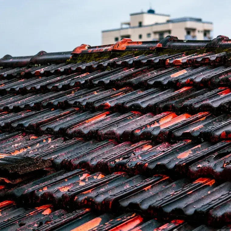 Close-up detail of natural slate-look roof tiles